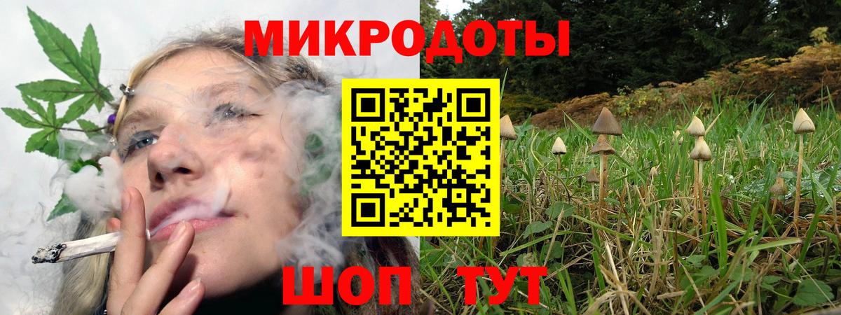 Елабуга  Галлюциногенные грибы GOLDEN TEACHER  Вход с VPN  Галлюциногенные грибы MAGIC MUSHROOMS 