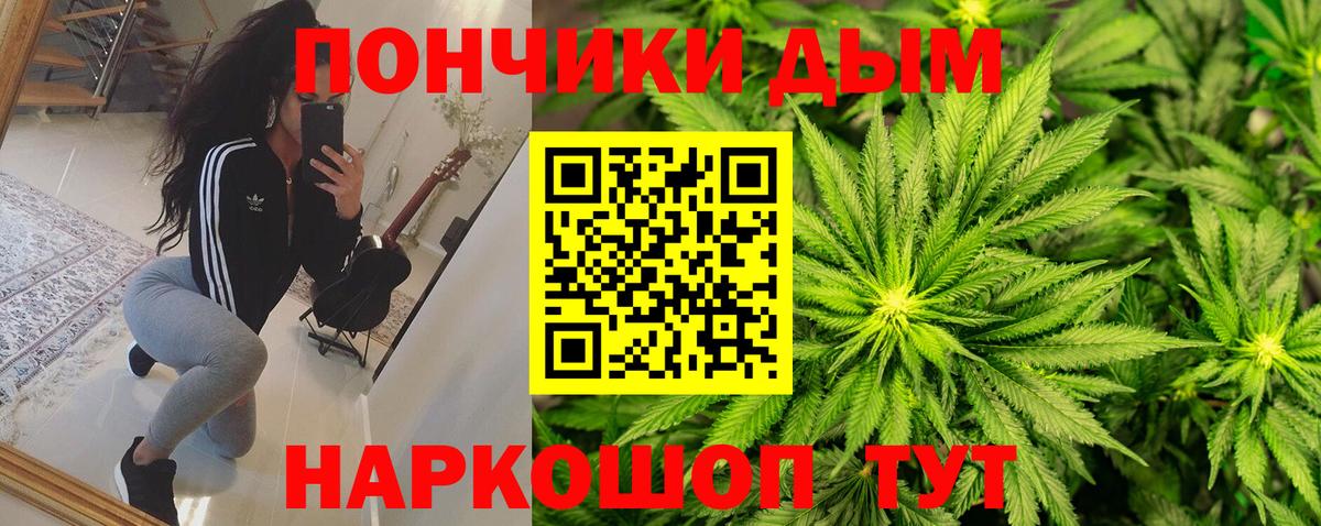 Каннабис индика Елабуга